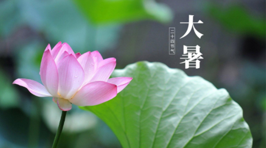 大暑時節(jié)！金環(huán)電器提醒大家注意這些干衣細(xì)節(jié)