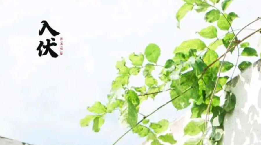 初伏時節！金環電器提醒大家要注意的事項