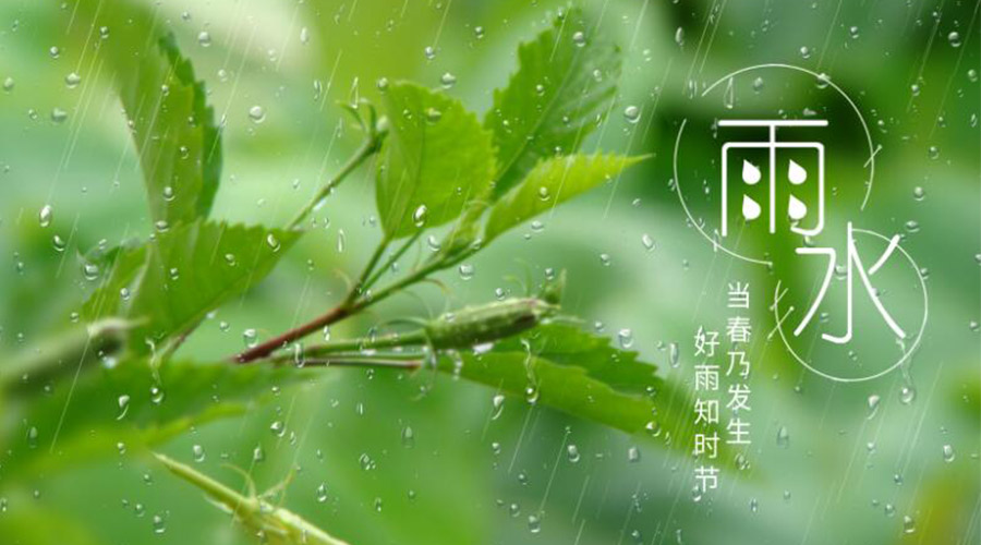 雨水時節！金環電器提醒大家要注意的事項